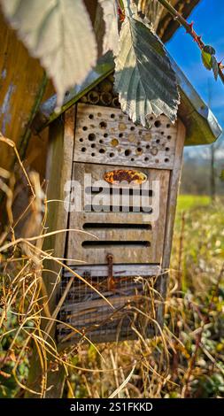 Ein handgefertigtes kleines Holzinsektenhotel im öffentlichen Garten. Uberlingen, Deutschland Stockfoto