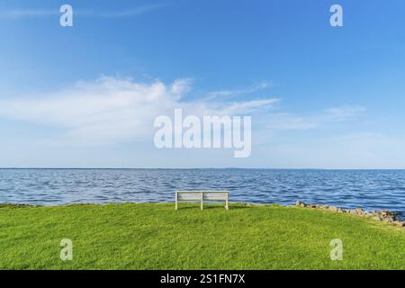 Isolierte, weiße, leere Bank auf einer Wiese am Ufer der Stettiner Lagune im Dorf Altwarp, Naturpark am Stettiner Haff, Mecklenbur Stockfoto
