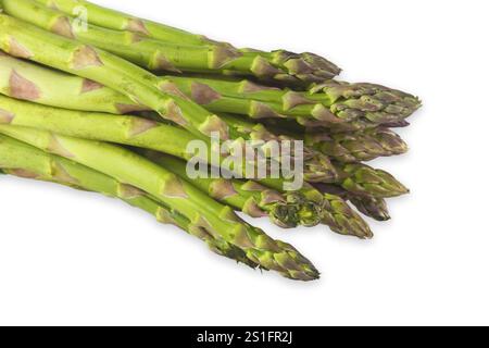 Frischer grüner Spargel auf weißem Hintergrund Stockfoto