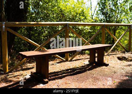 Bank im Sommerpark mit alten Bäumen und Fußweg. Gartenbank Stockfoto
