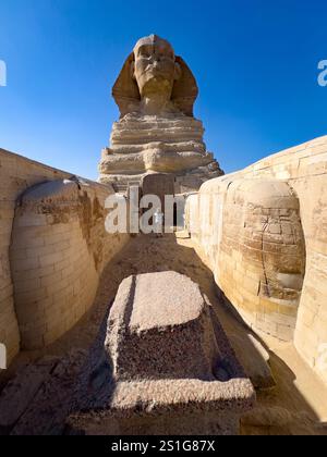 Die große Sphinx von Gizeh, mit besonders nahem Zugang zwischen den Pfoten, Kairo Ägypten Stockfoto