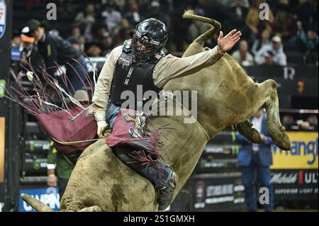 New York, USA. Januar 2025. Der professionelle Bullenreiter Andrew Alvidrez reitet auf Cash Goblin, während er an der Professional Bull Riding „PBR Unleash the Beast – Monster Energy Team Challenge“ teilnimmt, die am 3. Januar 2025 im Madison Square Garden, New York, NY, stattfindet. (Foto: Anthony Behar/SIPA USA) Credit: SIPA USA/Alamy Live News Stockfoto