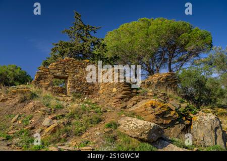 Dolmen der Creu d'en Cobertella und der umliegenden Ruinen, auf der Megalithroute der Rosen, in Cap de Creus (Alt Empordà, Girona, Katalonien, Spanien) Stockfoto