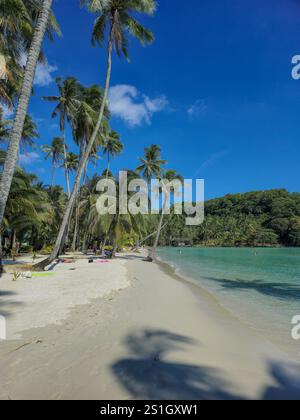 Ein atemberaubender, unberührter Strand in Koh Kood, Thailand, wo goldener Sand auf kristallklares Wasser trifft und hohe Palmen sanft in der warmen Brise schwanken und zu Entspannung und Abenteuer einladen. Stockfoto