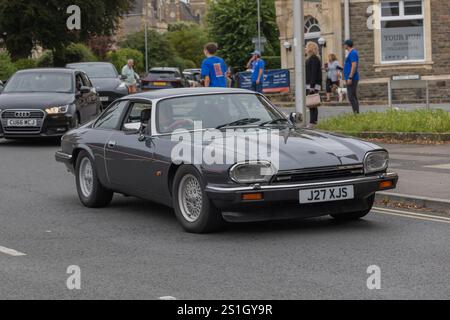 Jaguar XJS Stockfoto