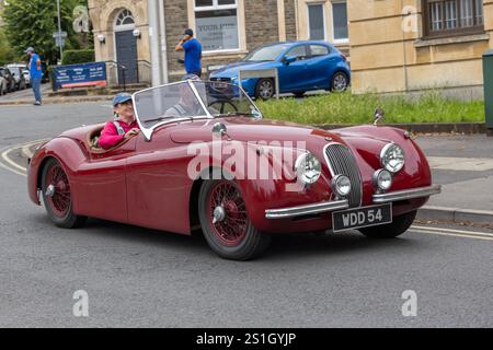 Jaguar XK 120 DHC 1953 Stockfoto