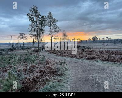 Godalming, Großbritannien. Januar 2025. Thursley Common, Elstead. Januar 2025. Ein sehr kalter Start in den Tag für die Home Counties mit Temperaturen weit unter null Celsius. Ein frostiger Sonnenaufgang am Thursley Common in Elstead, nahe Godalming, in Surrey. Quelle: james jagger/Alamy Live News Stockfoto