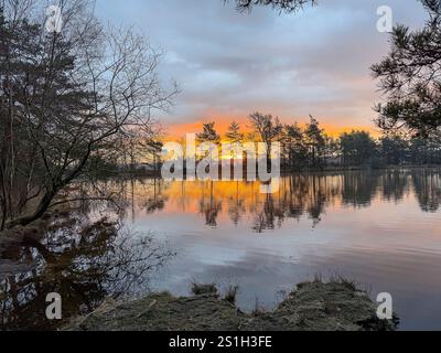 Godalming, Großbritannien. Januar 2025. Thursley Common, Elstead. Januar 2025. Ein sehr kalter Start in den Tag für die Home Counties mit Temperaturen weit unter null Celsius. Ein frostiger Sonnenaufgang am Thursley Common in Elstead, nahe Godalming, in Surrey. Quelle: james jagger/Alamy Live News Stockfoto