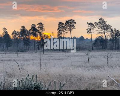 Godalming, Großbritannien. Januar 2025. Thursley Common, Elstead. Januar 2025. Ein sehr kalter Start in den Tag für die Home Counties mit Temperaturen weit unter null Celsius. Ein frostiger Sonnenaufgang am Thursley Common in Elstead, nahe Godalming, in Surrey. Quelle: james jagger/Alamy Live News Stockfoto