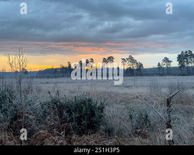 Godalming, Großbritannien. Januar 2025. Thursley Common, Elstead. Januar 2025. Ein sehr kalter Start in den Tag für die Home Counties mit Temperaturen weit unter null Celsius. Ein frostiger Sonnenaufgang am Thursley Common in Elstead, nahe Godalming, in Surrey. Quelle: james jagger/Alamy Live News Stockfoto