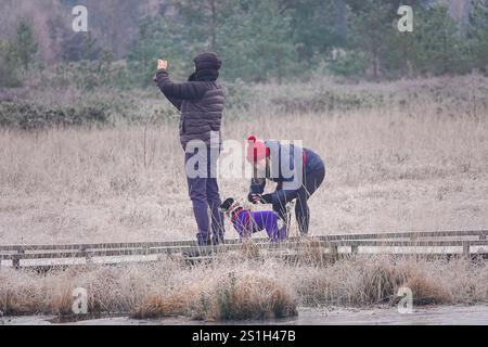 Thursley Common, Elstead. Januar 2025. Ein sehr kalter Start in den Tag für die Home Counties mit Temperaturen weit unter null Celsius. Ein frostiger Sonnenaufgang am Thursley Common in Elstead, nahe Godalming, in Surrey. Quelle: james jagger/Alamy Live News Stockfoto