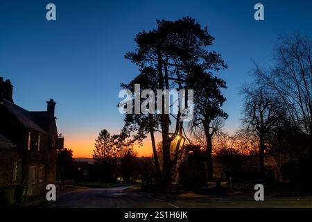 Kiefern und die Silhouette des Bell Pubs in der Farbe des Winters. Wold, Cotswolds, Gloucestershire, England Stockfoto