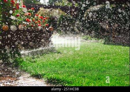Automatische Bewässerung des Rasens mit Sprinkleranlage Grünes Gras im Garten Stockfoto