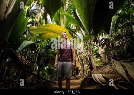 Mann mit Rucksack, der den Dschungel erforscht. Reisende im tropischen Regenwald auf den Seychellen. Stockfoto