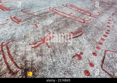 Die Rote Malerei der Tanum-Felsritzereien auf dem Vitlycke-Flachfelsen zeigt Boote, Menschen und Tiere aus der Bronze- und Eisenzeit. Stockfoto