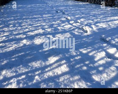 Schneebedeckter Boden mit Fußabdrücken Stockfoto
