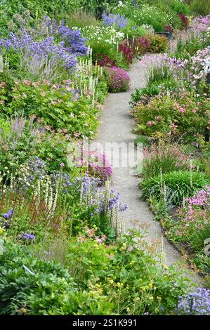 Ein Teil des Inverewe-Gartens mit Dierama, Mullien, Verbascum chaixii und Rosen Scotland July Stockfoto