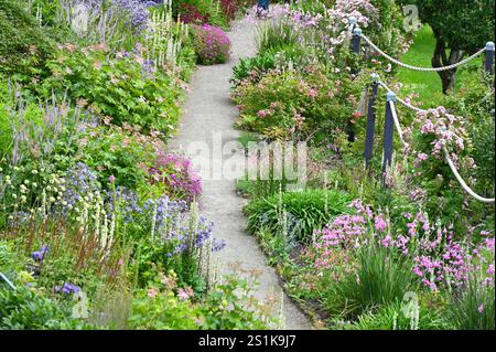 Ein Teil des Inverewe-Gartens mit Dierama, Mullien, Verbascum chaixii und Rosen Scotland July Stockfoto