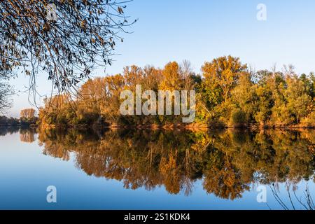 See mit schöner Reflexion des Herbstwaldes, gelbe und orangene Farben Stockfoto