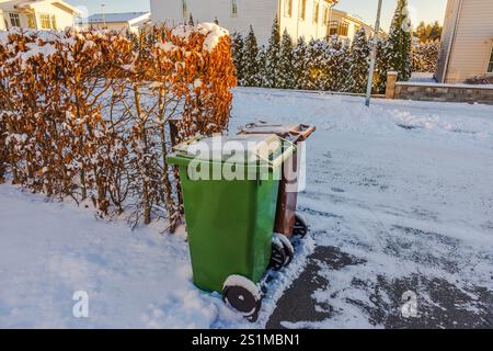 Grüne und braune Mülltonnen zur Abfallsortierung stehen neben schneebedeckten Hecken und Villen. Stockfoto