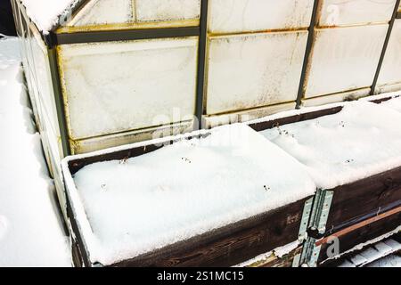 Nahansicht des Gewächshauses mit Milchglaspaneelen und schneebedeckten Holzgartenbetten während der Wintersaison. Stockfoto