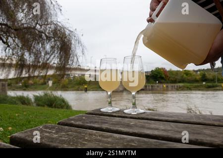 Herbstweinfestival in Schengen, Luxemburg, am Moseltal, Verkostung von Federweisser Jungwein, neuer wein fermentiertes frisch gepresstes Auxerro Stockfoto