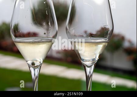 Verkostung von Weißwein, traditionelle Champagnermethode Herstellung von cremant in Höhlen im Moseltal in Luxemburg, Gläser Wein Stockfoto