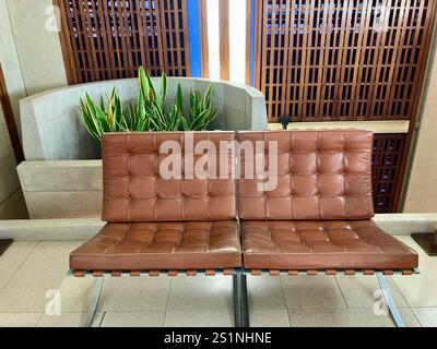 Moderne Einrichtung mit Ledersesseln im Stil der 1950er Jahre Stockfoto