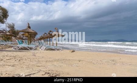 Sandstrand mit Strohschirmen und Liegestühlen in Can Picafort, Touristenort im Norden Mallorcas. Balearen, Spanien Stockfoto