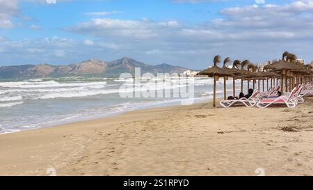 Sandstrand mit Strohschirmen und Liegestühlen in Can Picafort, Touristenort im Norden Mallorcas. Balearen, Spanien Stockfoto