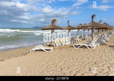 Strohschirme und Sonnenliegen am sonnigen Strand in Can Picafort auf Mallorca. Balearen, Spanien Stockfoto