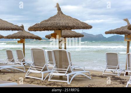 Strohschirme und Sonnenliegen am sonnigen Strand in Can Picafort auf Mallorca. Balearen, Spanien Stockfoto