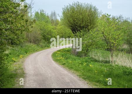 Kurviger Schotterweg durch den Wald im Frühjahr in Ystad, Skane County, Schweden, Skandinavien, Europa Stockfoto