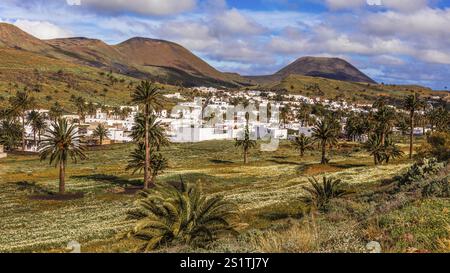 2016, Haria, Lanzarote, Haria, ESP, Spanien, Kanarische Inseln, Kanarische Inseln, Atlantik, Lanzarote, Biosphärenreservat, Vulkan, Vulkanismus, Vulkanismus Stockfoto