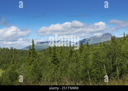 Faszinierende Naturlandschaft in Jotunheimen im Sommer in Norwegen. Großartige Naturlandschaft in Jotunheimen im Sommer in Norwegen Stockfoto