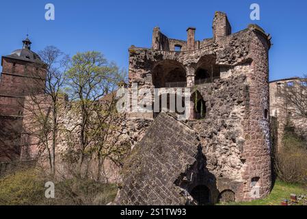 Das berühmte Heidelberger Schloss im Frühling ist ein beliebtes Touristenziel und ein sehenswertes altes Gebäude. Das berühmte Schloss Heidelbe Stockfoto