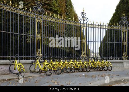 Gelbe Leihfahrräder am Zaun des Jardin Luxembourg warten auf Kunden. Querformat. Gelbe Leihfahrräder parken am Zaun von Jar Stockfoto