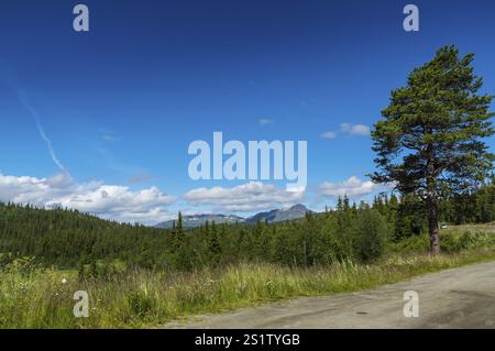 Faszinierende Naturlandschaft in Jotunheimen im Sommer in Norwegen. Großartige Naturlandschaft in Jotunheimen im Sommer in Norwegen Stockfoto