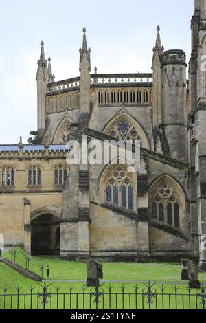 Chapter House, Cathedral of St Andrew of Wells, Somerset, England, Großbritannien Stockfoto