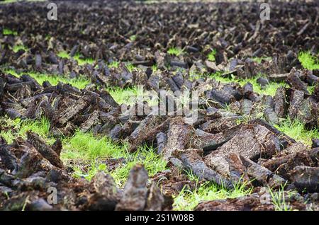 Torfgewinnung in Ostfriesland Stockfoto