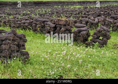 Torfgewinnung in Ostfriesland Stockfoto
