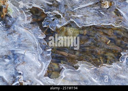 Bizarre Eisschimmelpilze auf dem kleinen Bach Stockfoto