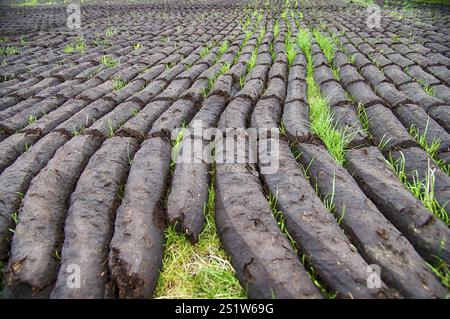 Torfgewinnung in Ostfriesland Stockfoto