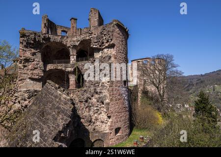 Das berühmte Heidelberger Schloss im Frühling ist ein beliebtes Touristenziel und ein sehenswertes altes Gebäude. Das berühmte Schloss Heidelbe Stockfoto