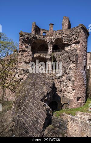 Das berühmte Heidelberger Schloss im Frühling ist ein beliebtes Touristenziel und ein sehenswertes altes Gebäude. Das berühmte Schloss Heidelbe Stockfoto