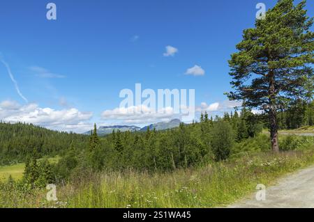 Faszinierende Naturlandschaft in Jotunheimen im Sommer in Norwegen. Großartige Naturlandschaft in Jotunheimen im Sommer in Norwegen Stockfoto