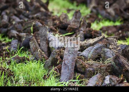 Torfgewinnung in Ostfriesland Stockfoto
