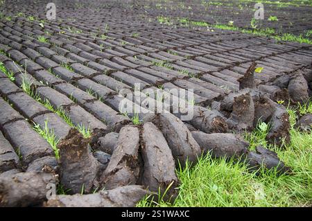 Torfgewinnung in Ostfriesland Stockfoto