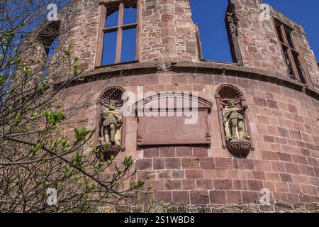 Das berühmte Heidelberger Schloss im Frühling ist ein beliebtes Touristenziel und ein sehenswertes altes Gebäude. Das berühmte Schloss Heidelbe Stockfoto