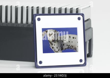 Schieben Sie Magazine im Detail Stockfoto